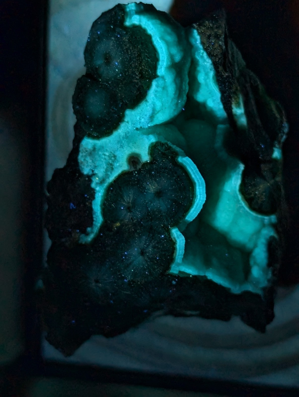 A glowing turquoise and black geode with intricate, layered patterns.