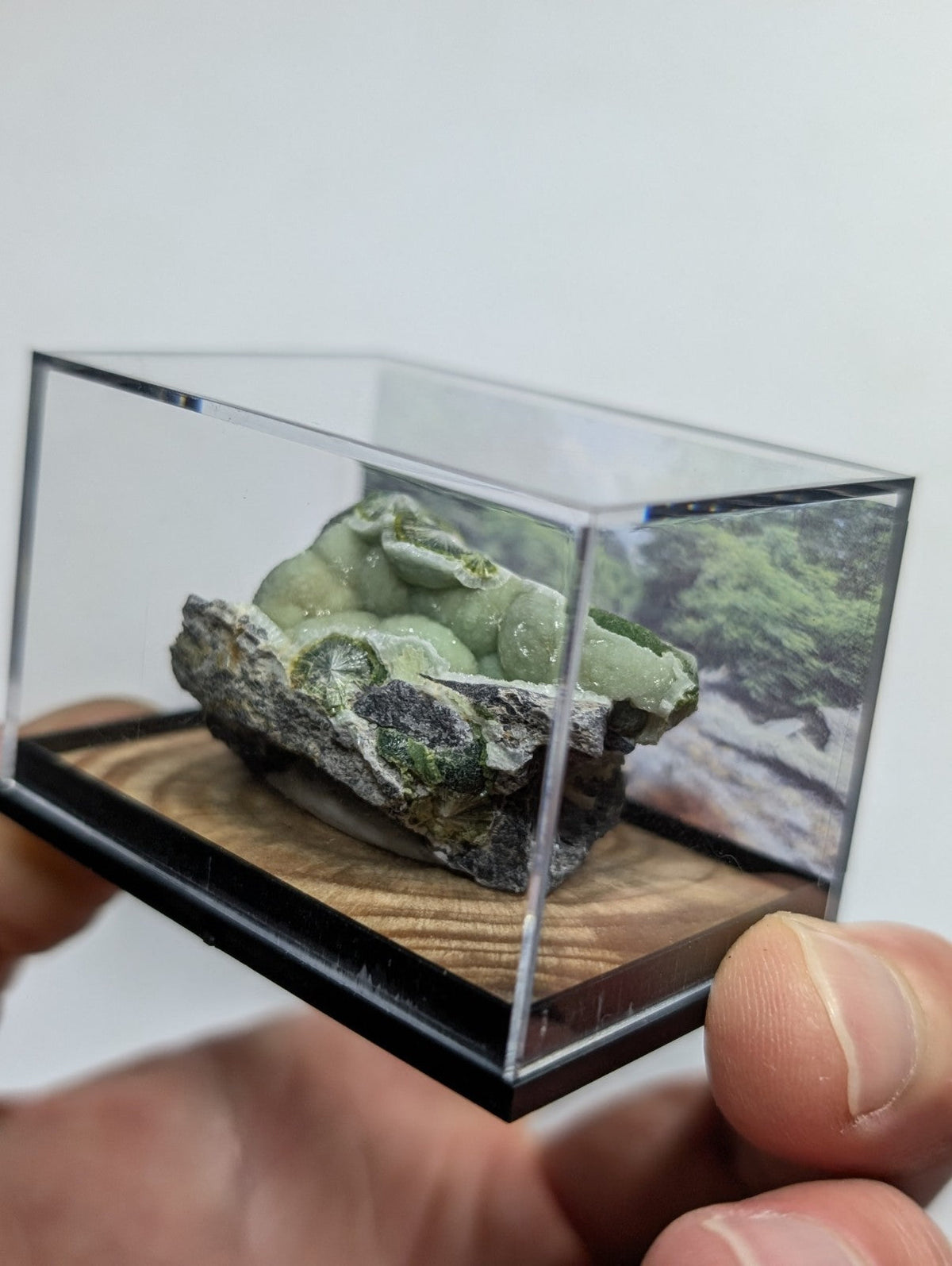 A green, translucent mineral specimen with a rough, textured surface and embedded darker patches is displayed inside a clear acrylic display case.
