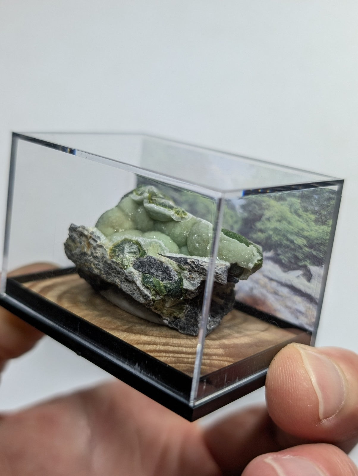 A green, translucent mineral specimen with a rough, textured surface and embedded darker patches is displayed inside a clear acrylic display case.