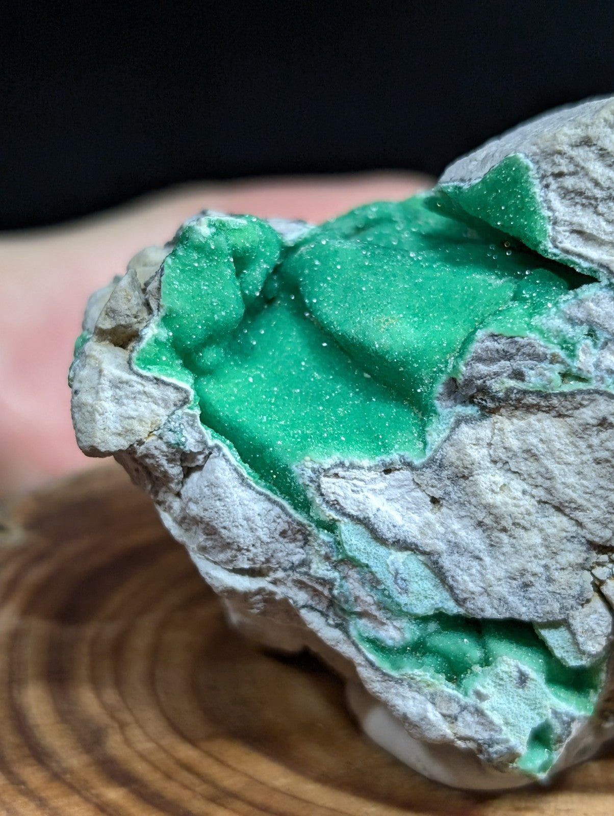 Vibrant emerald-green malachite mineral specimen nestled within a rugged, grayish matrix.