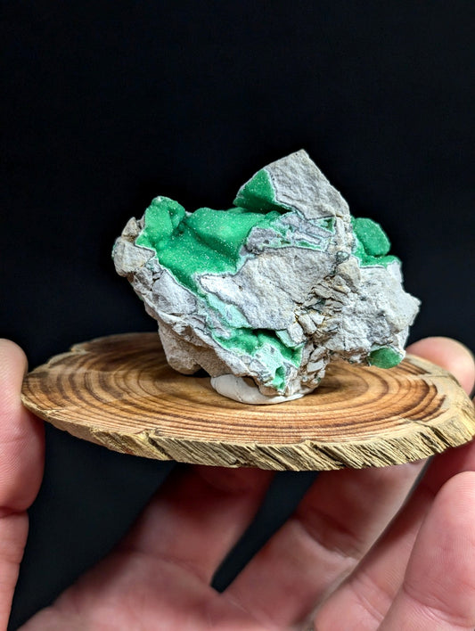 A vibrant green mineral specimen with a rough, textured surface set against a grayish rock matrix.