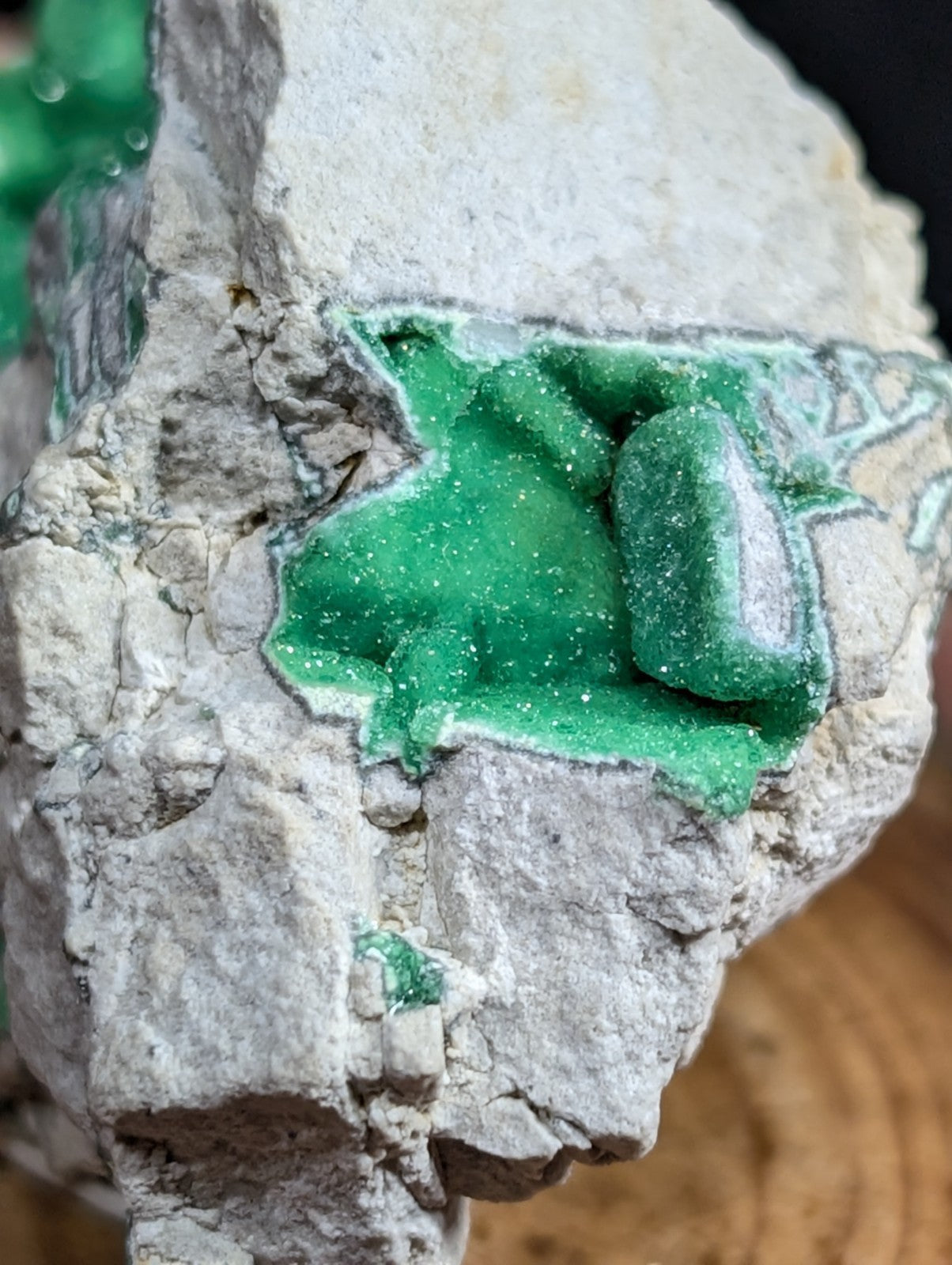 Vibrant green malachite mineral formation nestled within a rough, light gray rock matrix.