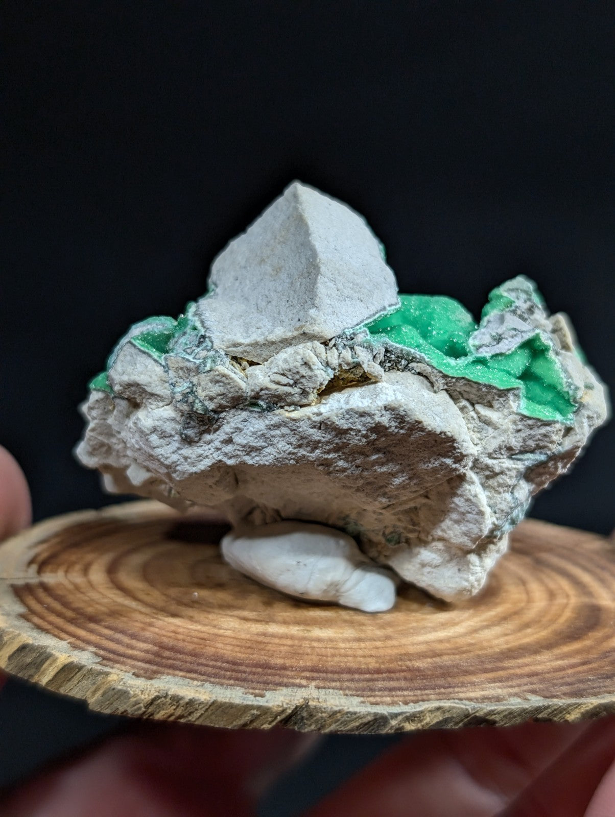 A striking green mineral specimen with a crystalline structure, set against a dark background and displayed on a rustic wooden slice.