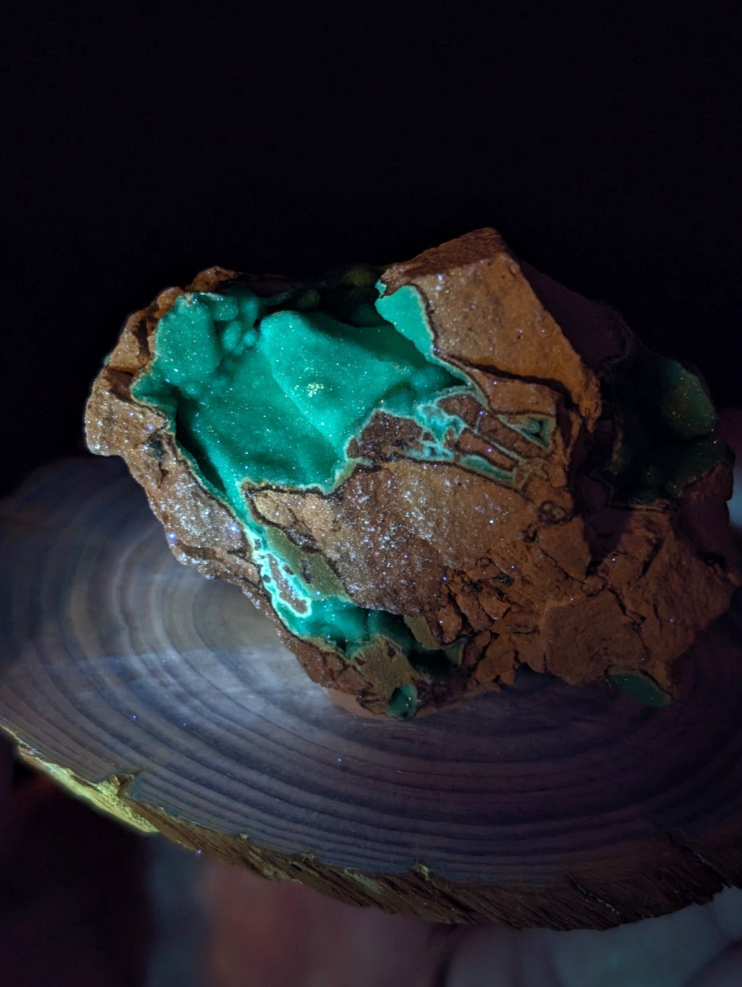 A striking turquoise malachite specimen with a glossy, vibrant green interior contrasting against its rough, earthy brown matrix.