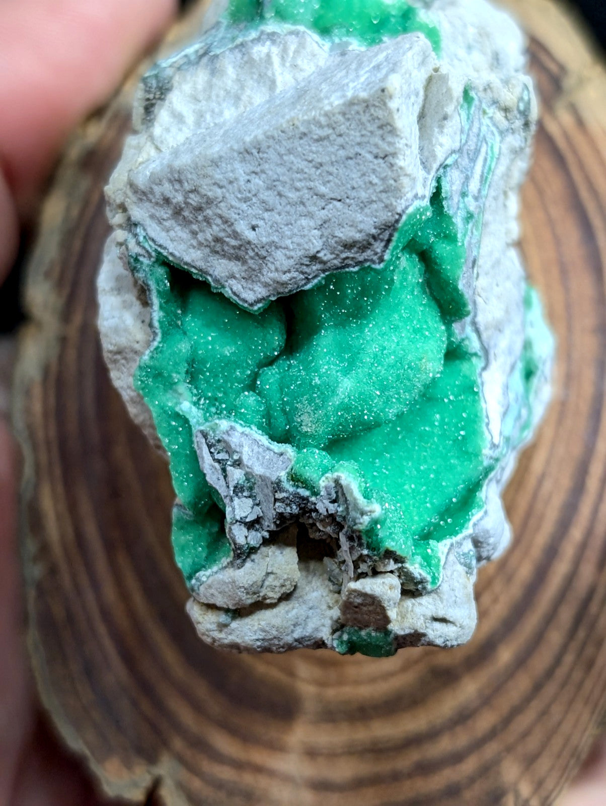 A vibrant green mineral specimen with a crystalline texture, embedded in and contrasting against a rough gray rock matrix.