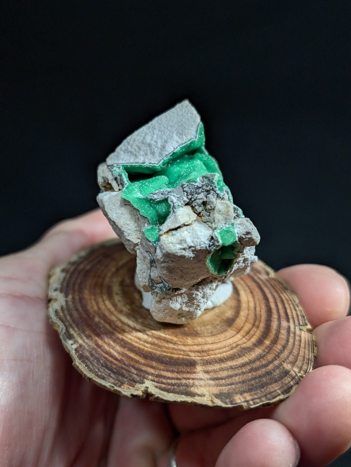 A vibrant green mineral specimen nestled within a rugged, grayish-white rock matrix.