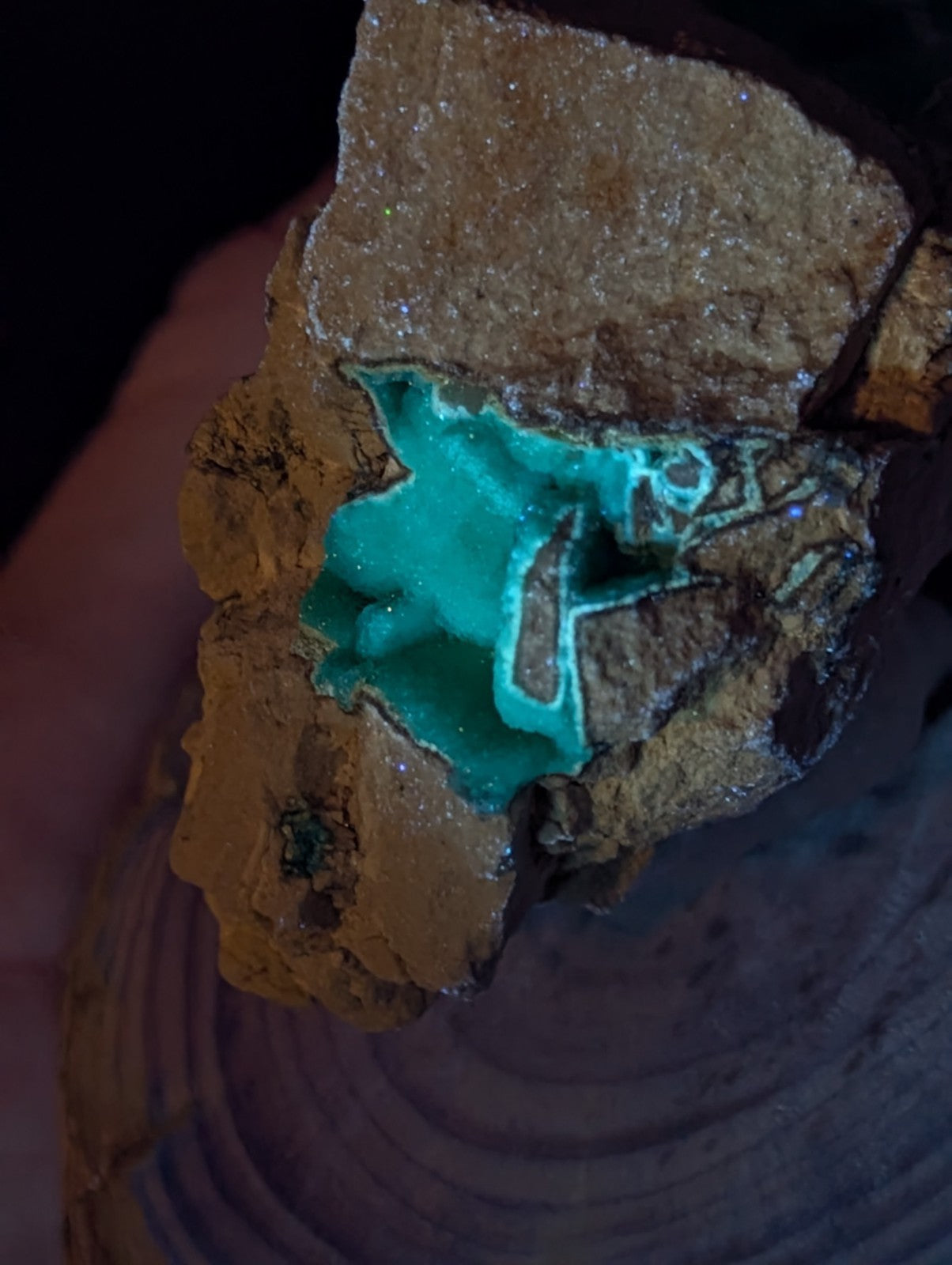 A vibrant turquoise malachite specimen embedded in a rough, earthy brown matrix with glittering crystalline textures.