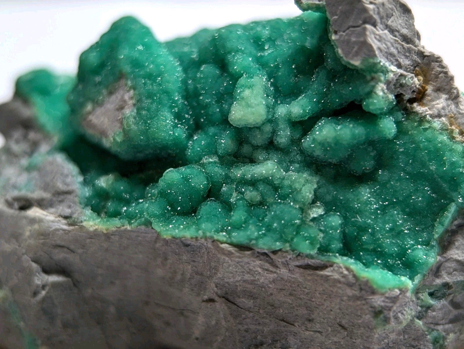 Vibrant emerald-green malachite crystals growing in a rough, gray rock matrix.