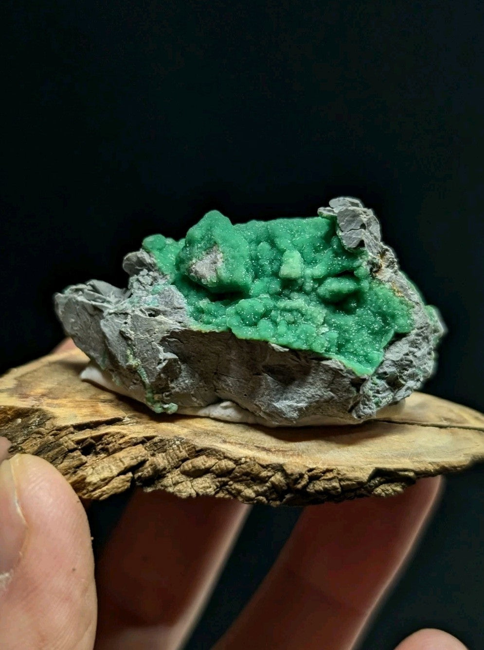 A vibrant green malachite mineral specimen with a crystalline, textured surface embedded in a gray rock matrix.
