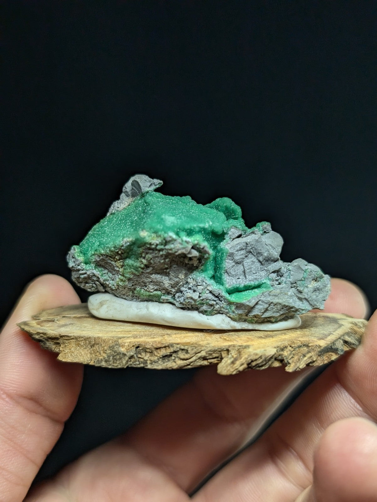 A vibrant green malachite mineral specimen with a rough, crystalline texture and grayish matrix, displayed on a natural wood slice.
