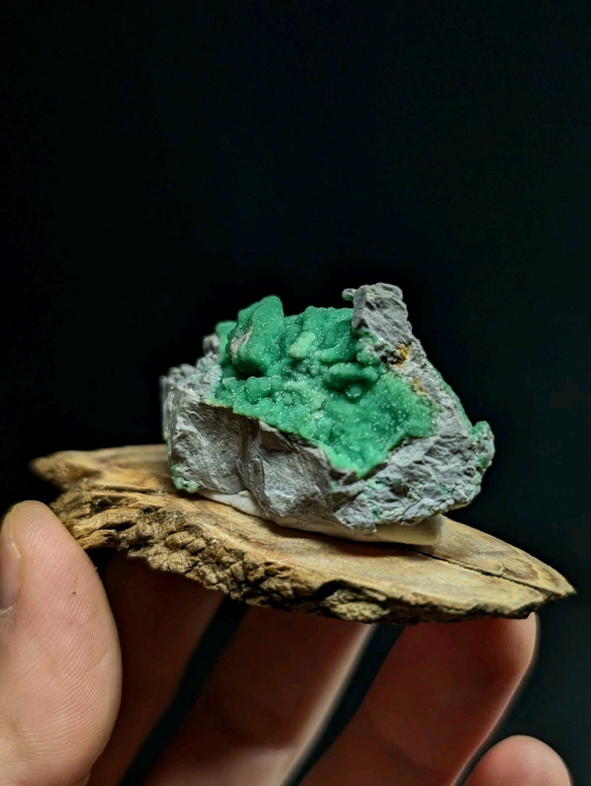 A vibrant green mineral specimen with a crystalline texture, set against a gray rock base and displayed on a natural wood slice.