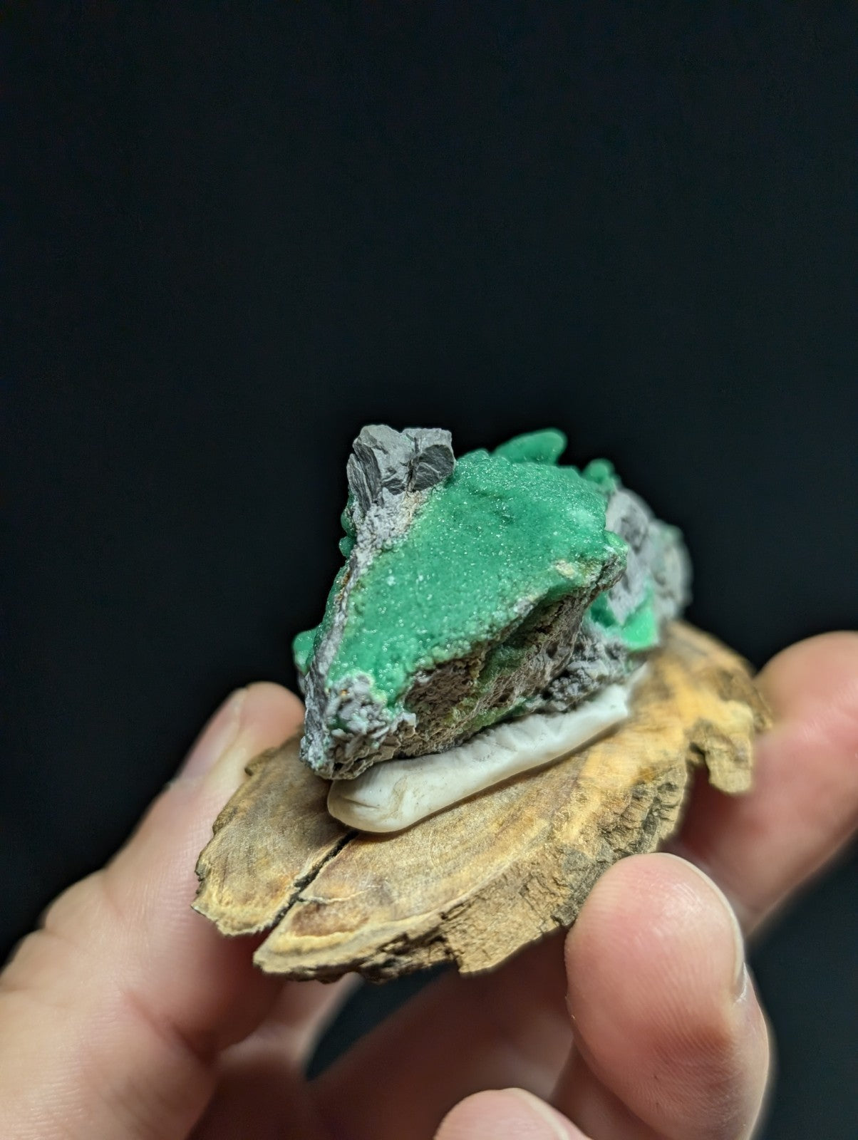 A vibrant green mineral specimen with a crystalline texture, set against gray rock matrix and resting on a natural wooden base.