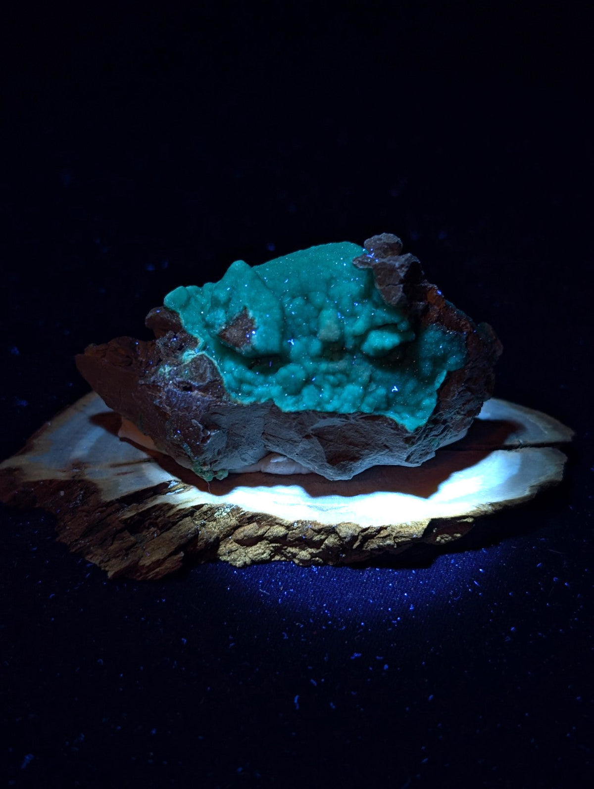 Vibrant turquoise mineral specimen with crystalline texture set against a dark, starry background.