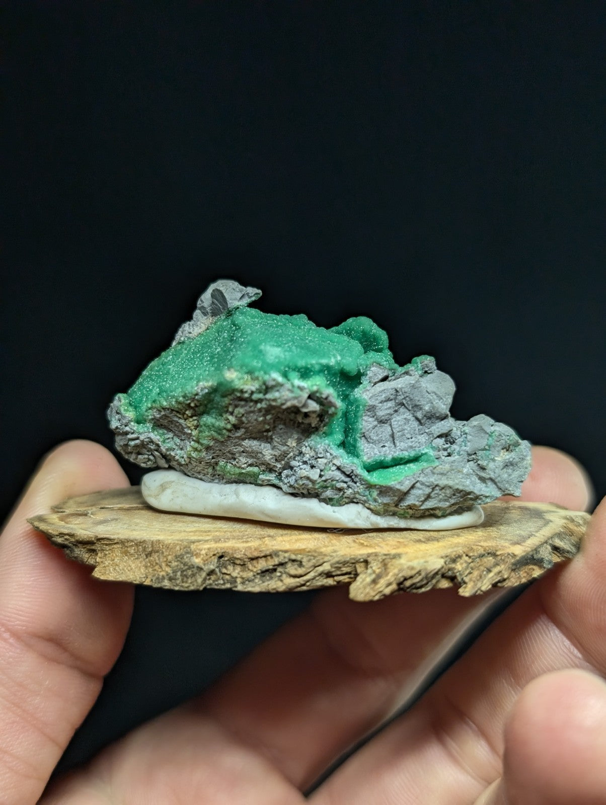 A vibrant green malachite mineral specimen with a rough, crystalline texture and grayish matrix, displayed on a natural wood slice.