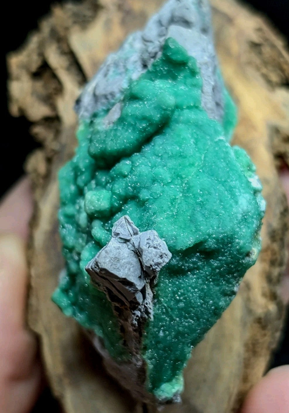 Vibrant green malachite mineral specimen with a rough, crystalline texture and grayish matrix.