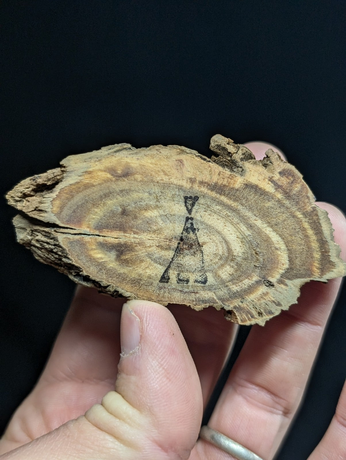 A hand holds a rustic, light brown wooden slice with visible concentric rings and an engraved black teepee symbol.