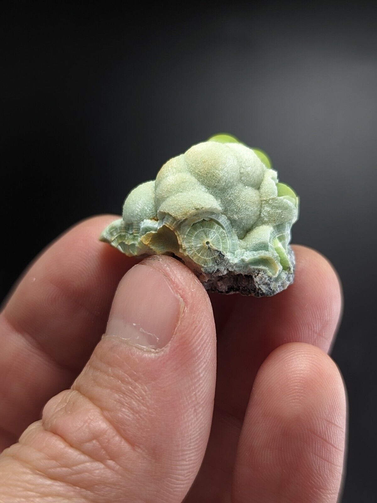 A + Wavellite - Fantastic Old Stock - Mauldin Mountain Arkansas ooak - Collectibles:Rocks Fossils & Minerals:Crystals