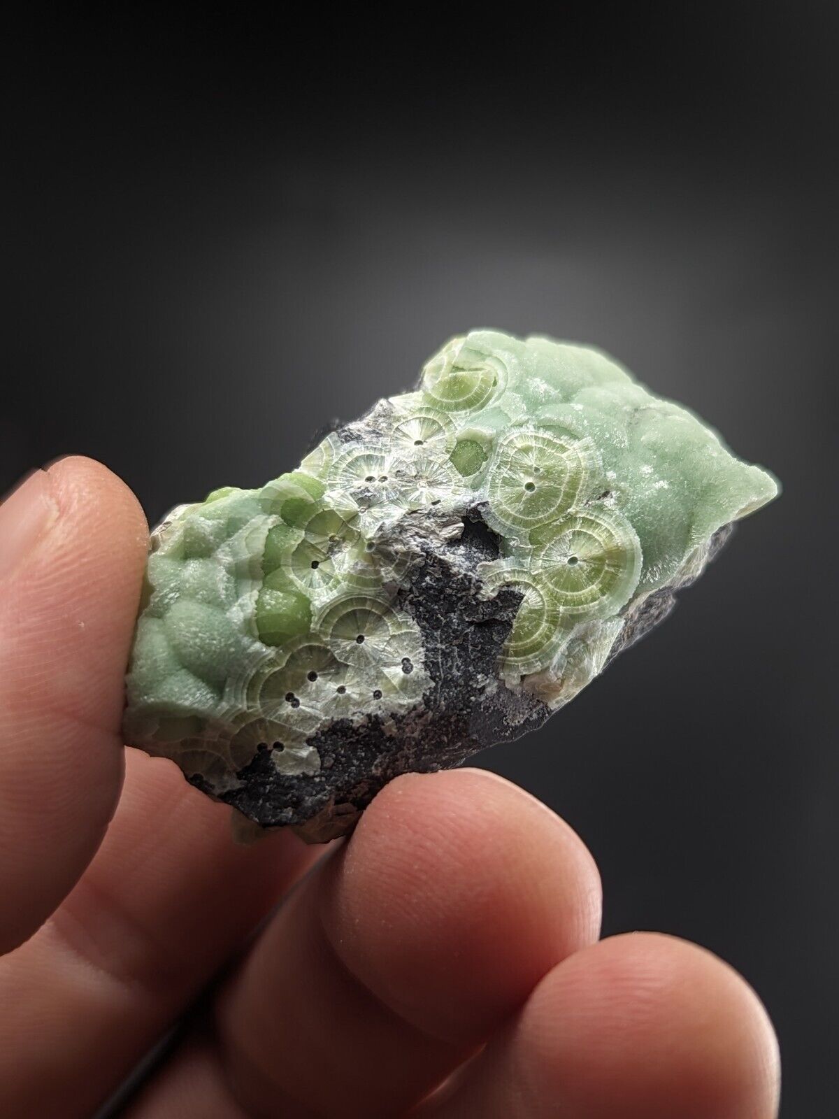 A + + + Wavellite - Fantastic Old Stock - Mauldin Mountain Arkansas ooak - Collectibles:Rocks Fossils &