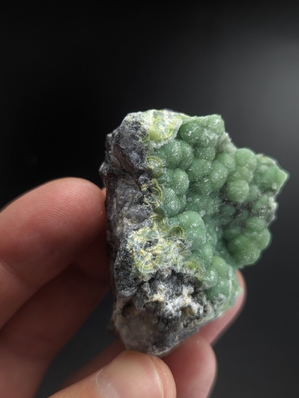 A + + Wavellite - Fantastic Old Stock - Mauldin Mountain Arkansas ooak - Collectibles:Rocks Fossils & Minerals:Crystals