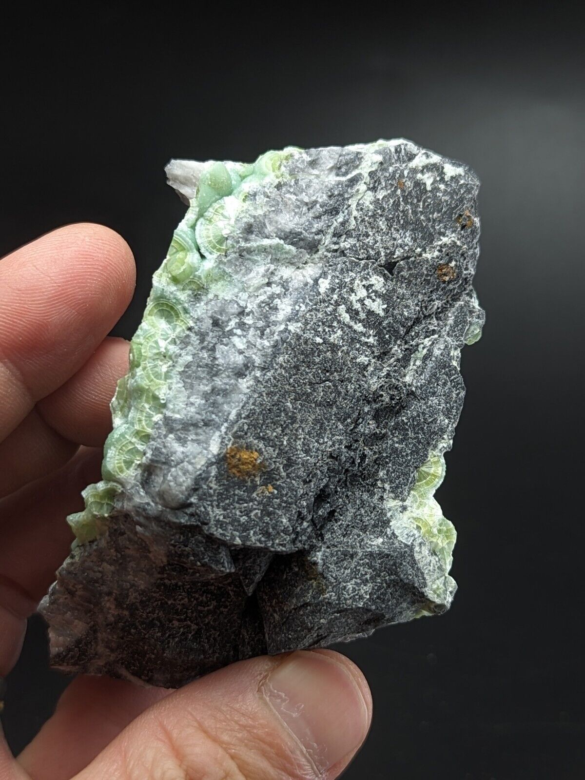 A + Wavellite - Fantastic Old Stock - Mauldin Mountain Arkansas ooak - Collectibles:Rocks Fossils & Minerals:Crystals