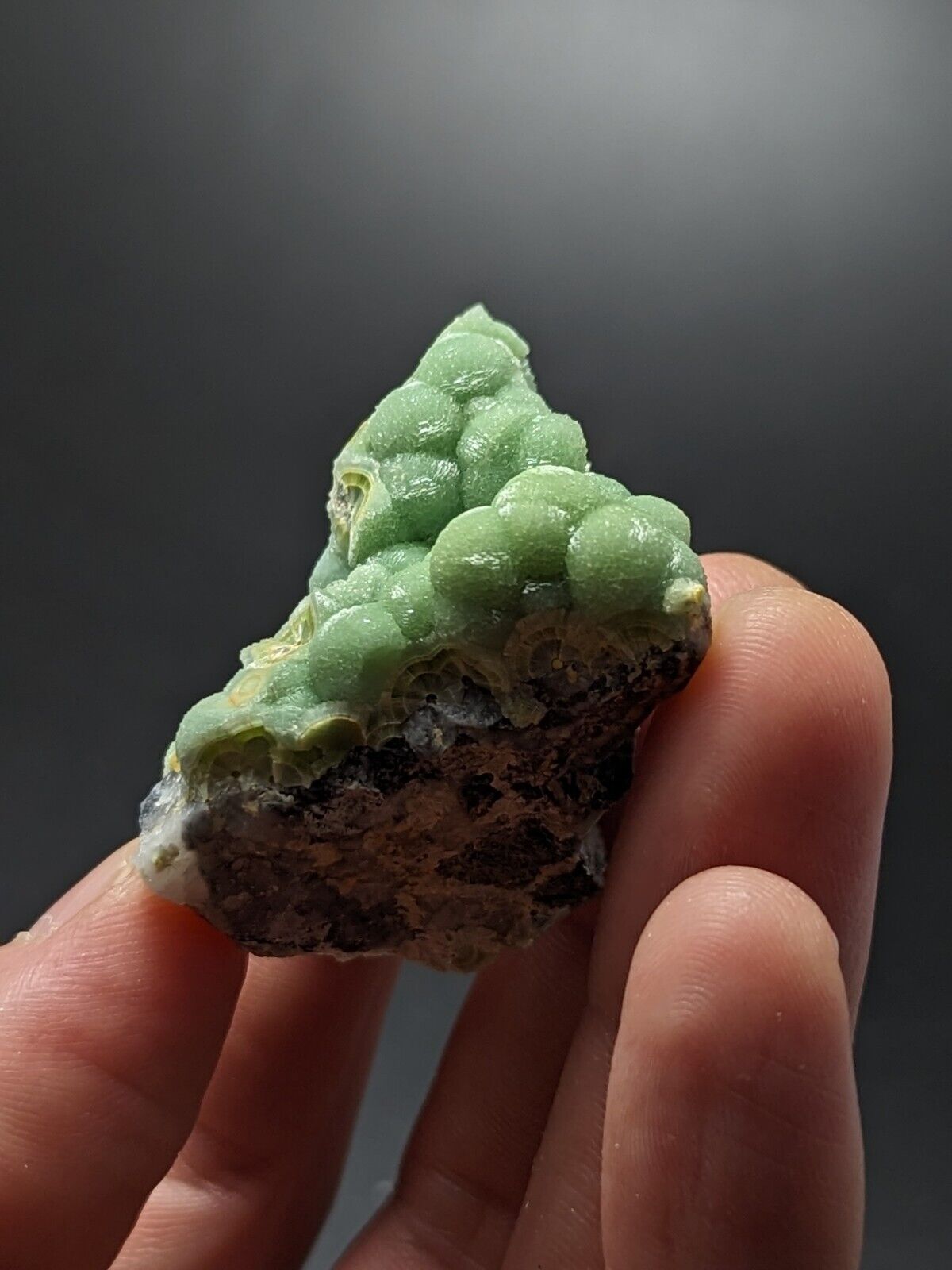 A + + + Wavellite - Fantastic Old Stock - Mauldin Mountain Arkansas ooak - Collectibles:Rocks Fossils &