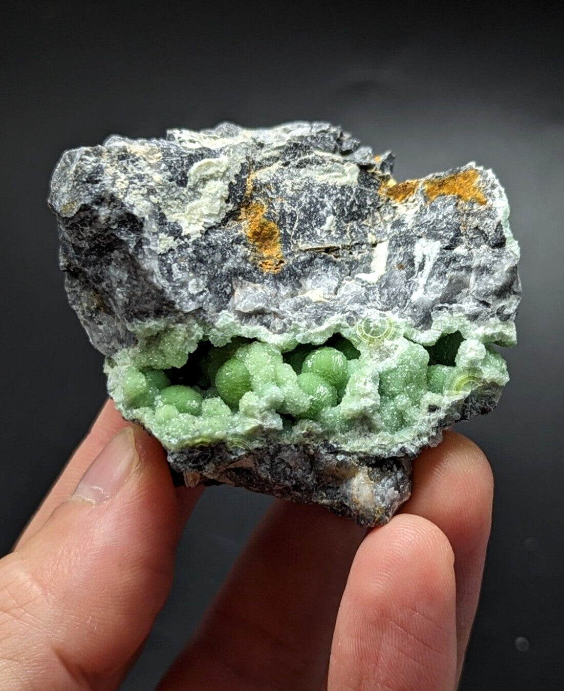 A hand holds a striking geological specimen featuring vibrant green, bead-like crystals nestled within a rugged matrix of gray and white rock, accented with patches of orange mineral.