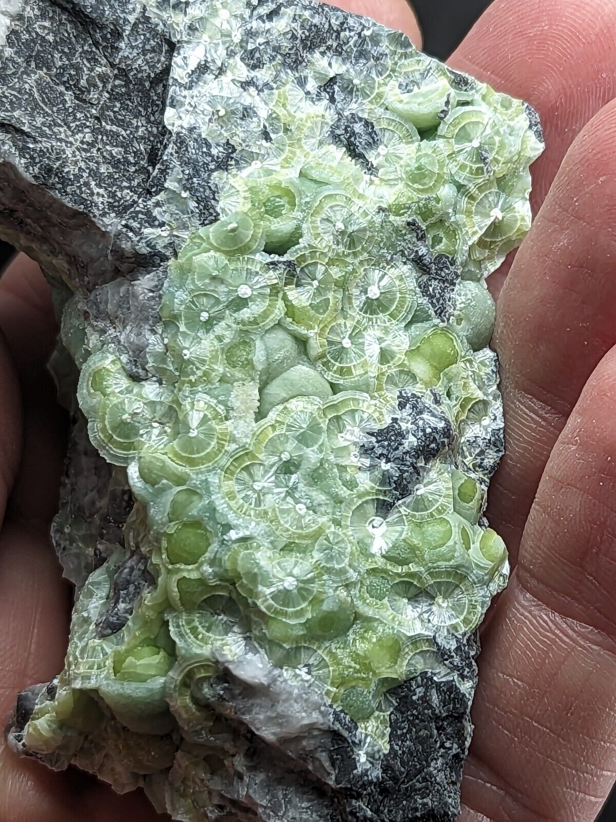 A + Wavellite - Fantastic Old Stock - Mauldin Mountain Arkansas ooak - Collectibles:Rocks Fossils & Minerals:Crystals