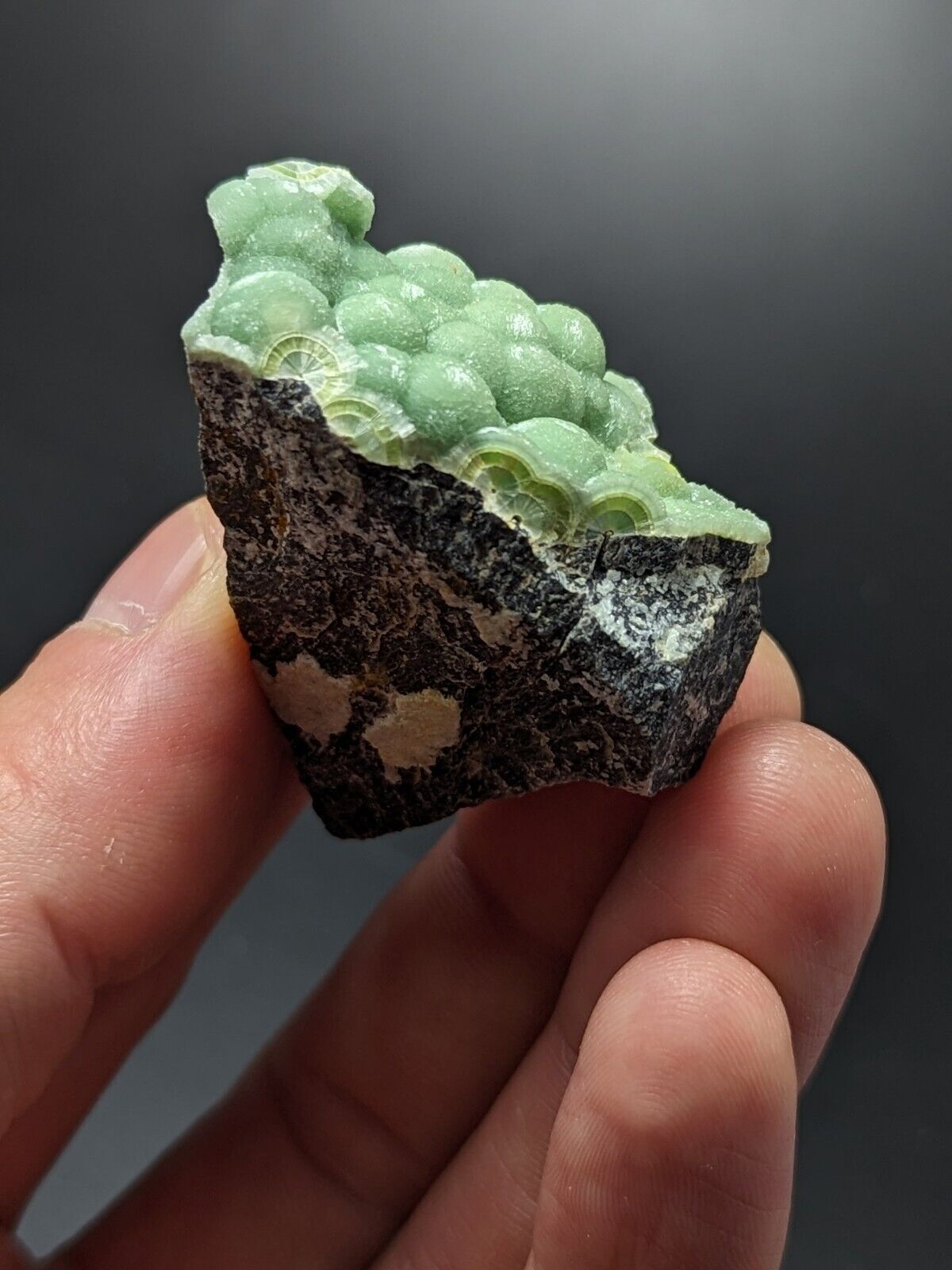 A + Wavellite - Fantastic Old Stock - Mauldin Mountain Arkansas ooak - Collectibles:Rocks Fossils & Minerals:Crystals