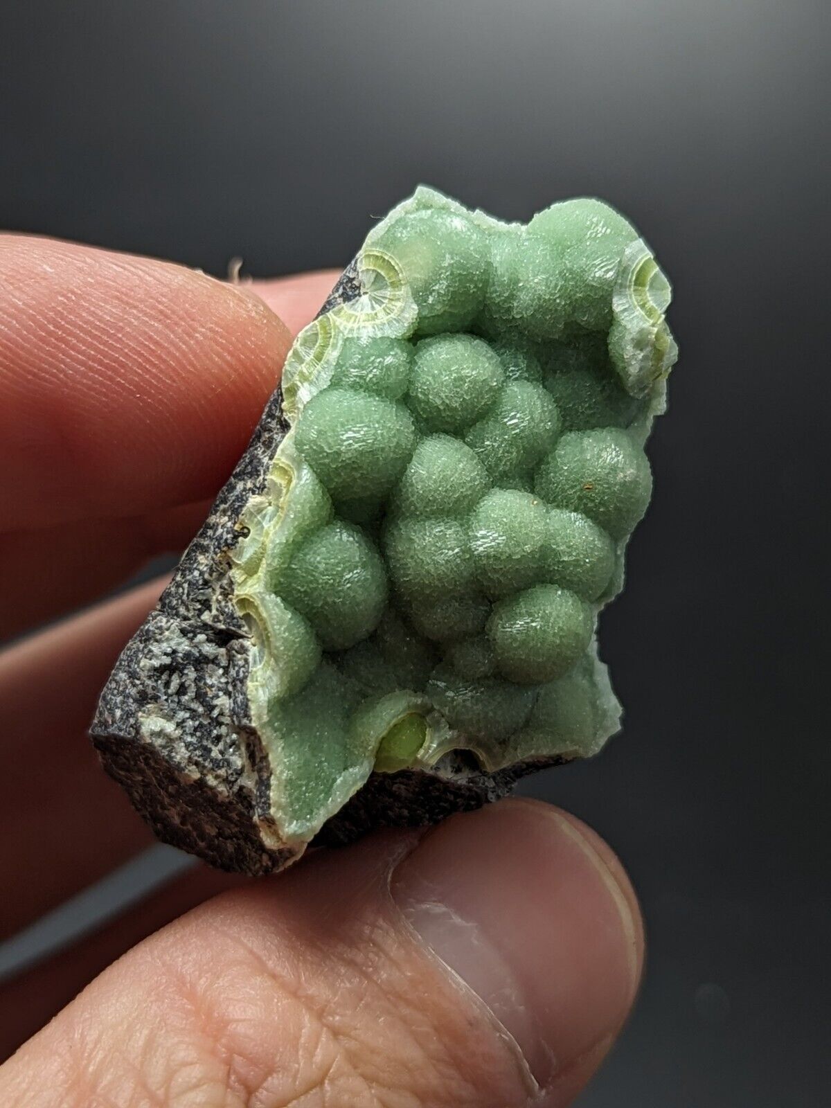 A + Wavellite - Fantastic Old Stock - Mauldin Mountain Arkansas ooak - Collectibles:Rocks Fossils & Minerals:Crystals