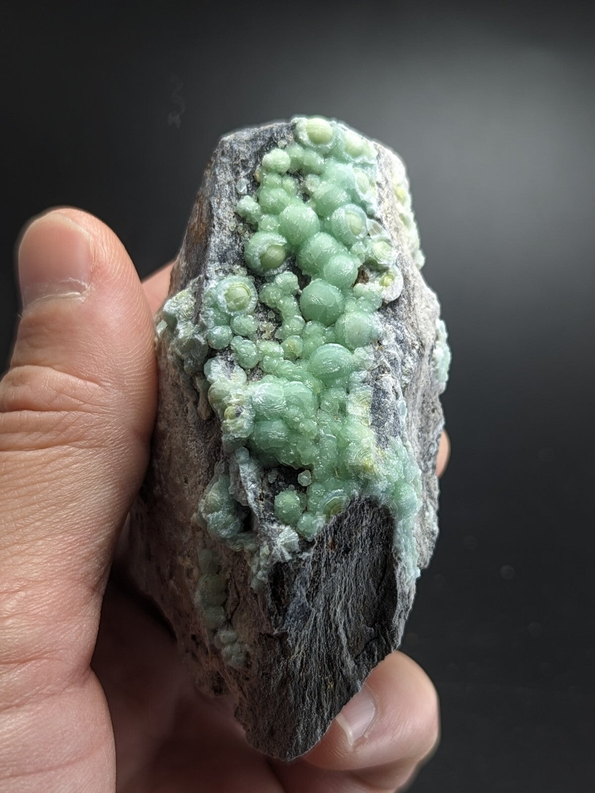 A hand holds a dark gray rock specimen featuring clusters of translucent, light green spherical crystals.