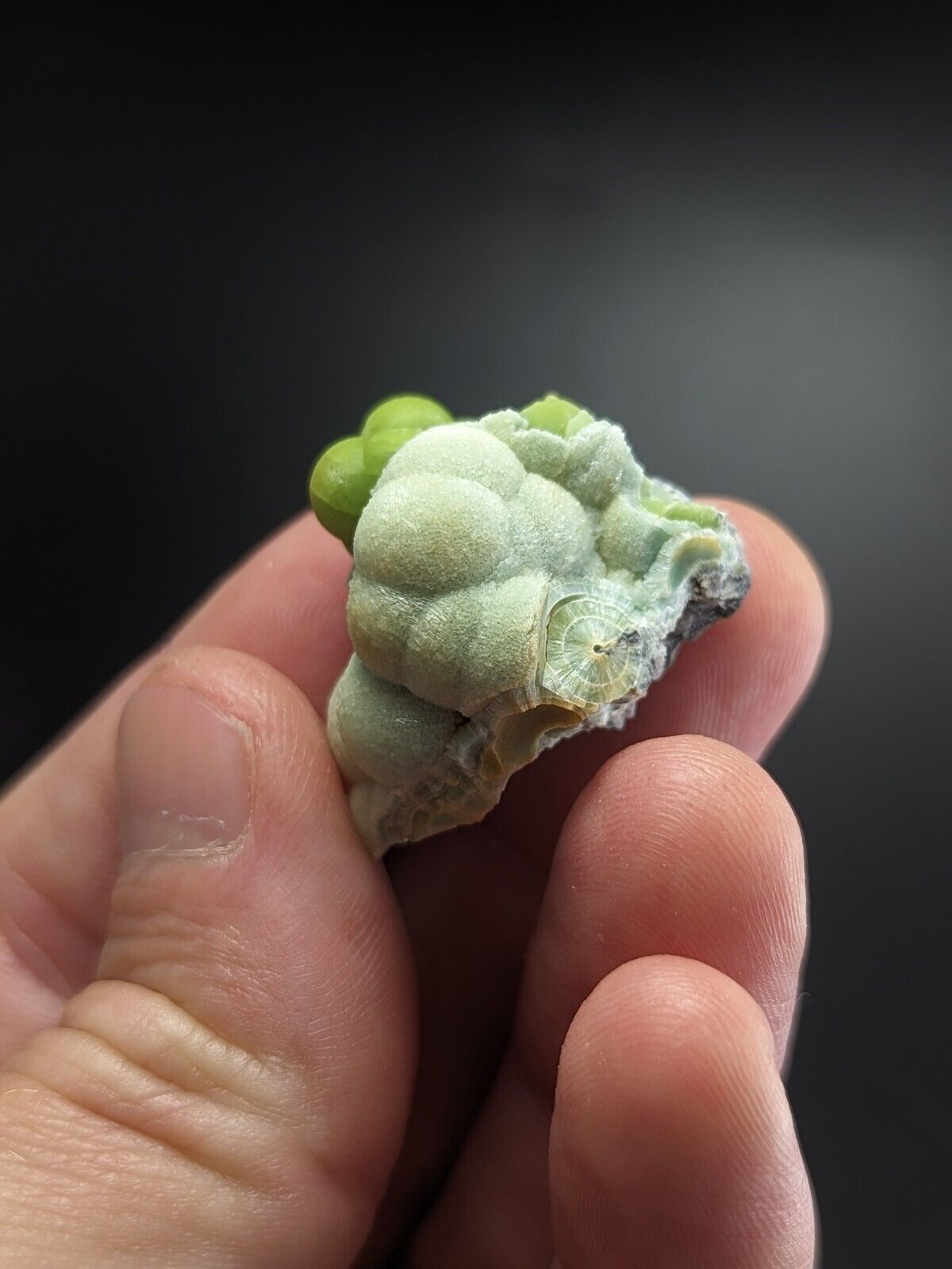 A + Wavellite - Fantastic Old Stock - Mauldin Mountain Arkansas ooak - Collectibles:Rocks Fossils & Minerals:Crystals