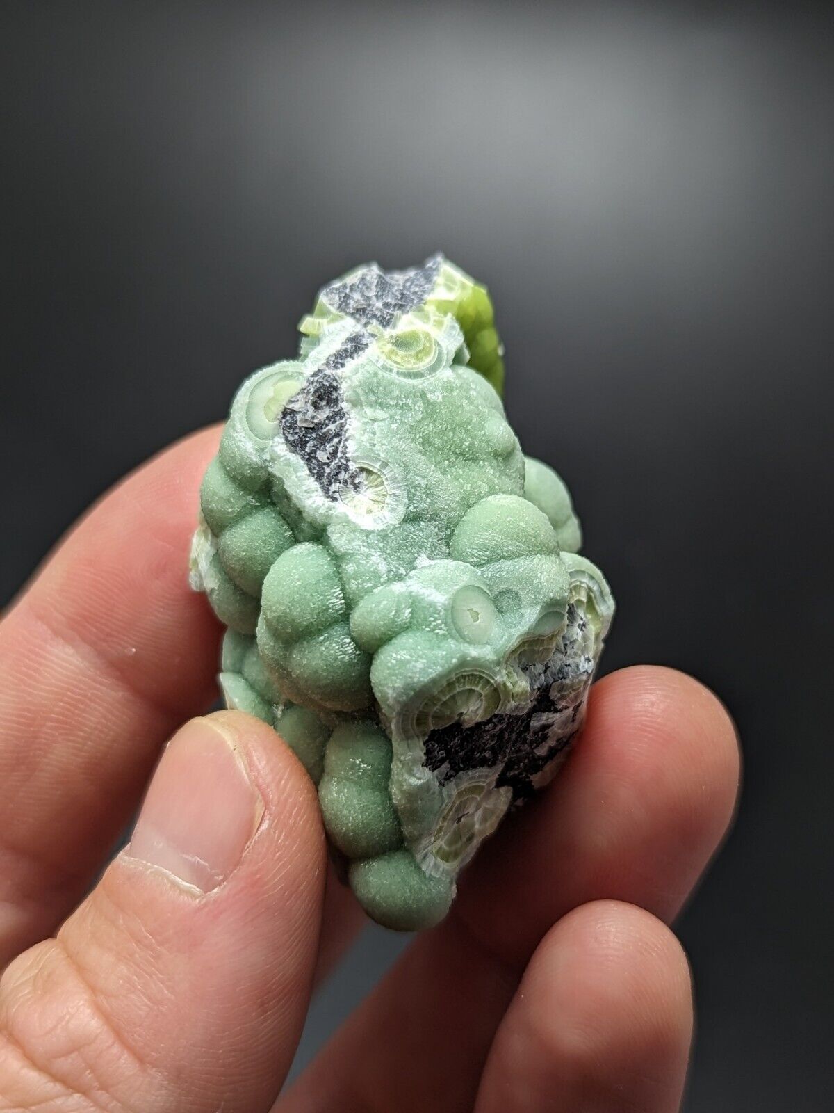 A + Wavellite - Fantastic Old Stock - Mauldin Mountain Arkansas ooak - Collectibles:Rocks Fossils & Minerals:Crystals