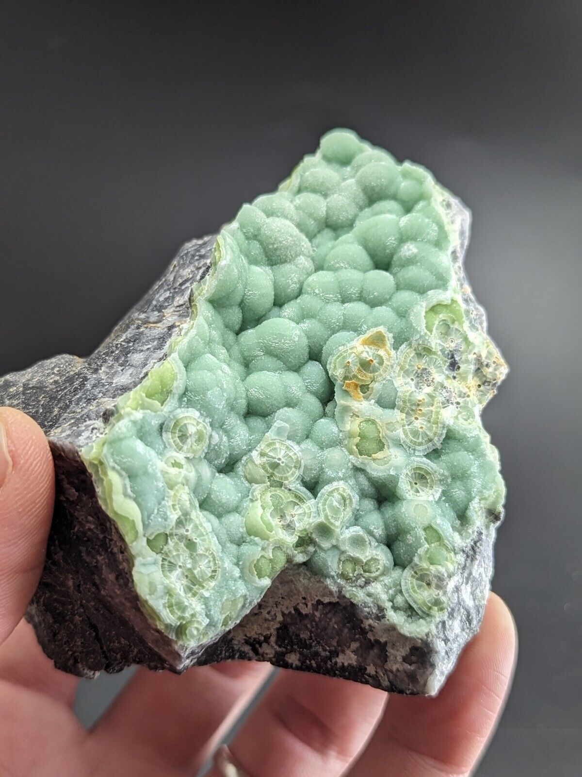 A + + + + Wavellite - Fantastic Old Stock - Mauldin Mountain Arkansas ooak - Collectibles:Rocks Fossils &