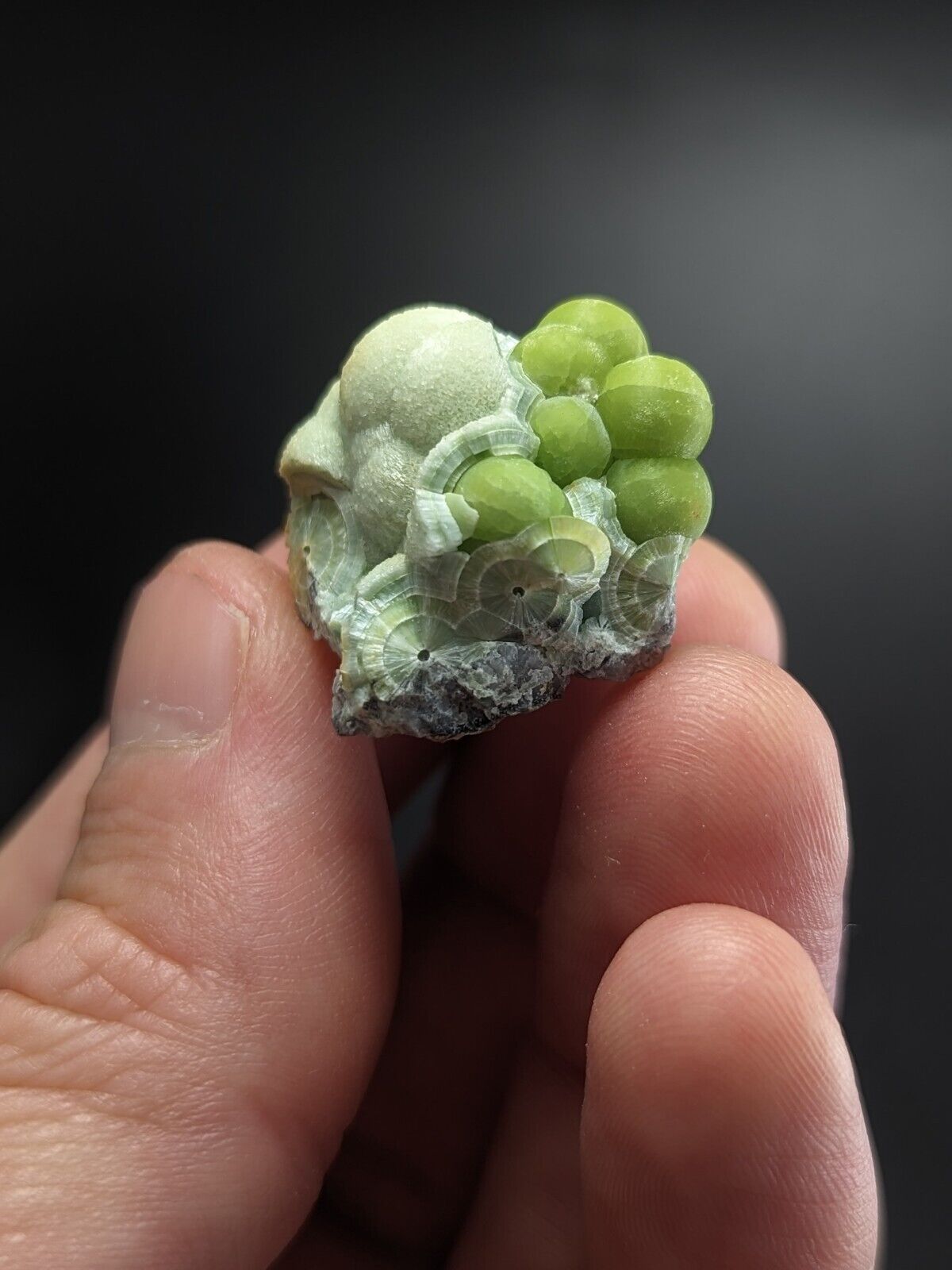 A + Wavellite - Fantastic Old Stock - Mauldin Mountain Arkansas ooak - Collectibles:Rocks Fossils & Minerals:Crystals