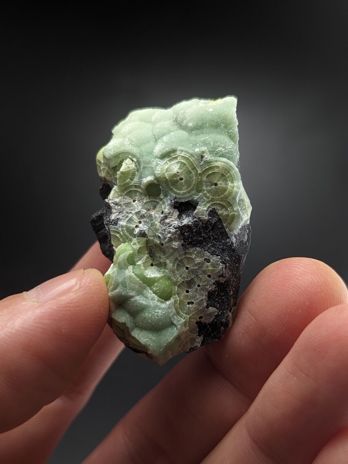 A + + + Wavellite - Fantastic Old Stock - Mauldin Mountain Arkansas ooak - Collectibles:Rocks Fossils &