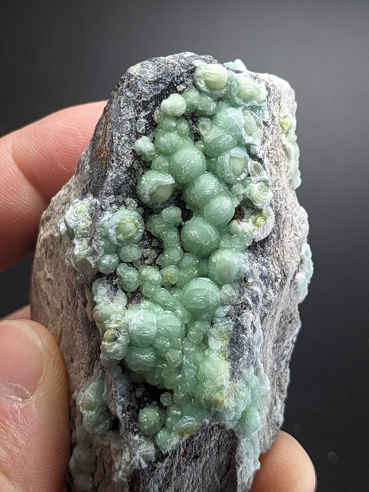 A hand holds a dark gray rock specimen featuring clusters of translucent, light green spherical crystals with subtle yellowish highlights.
