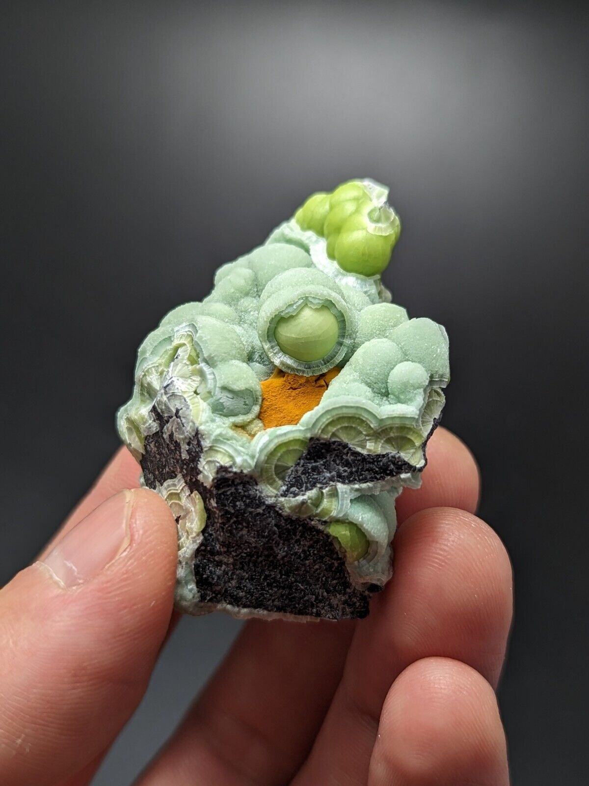 A + Wavellite - Fantastic Old Stock - Mauldin Mountain Arkansas ooak - Collectibles:Rocks Fossils & Minerals:Crystals