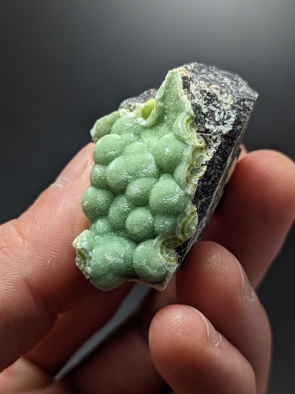 A + Wavellite - Fantastic Old Stock - Mauldin Mountain Arkansas ooak - Collectibles:Rocks Fossils & Minerals:Crystals