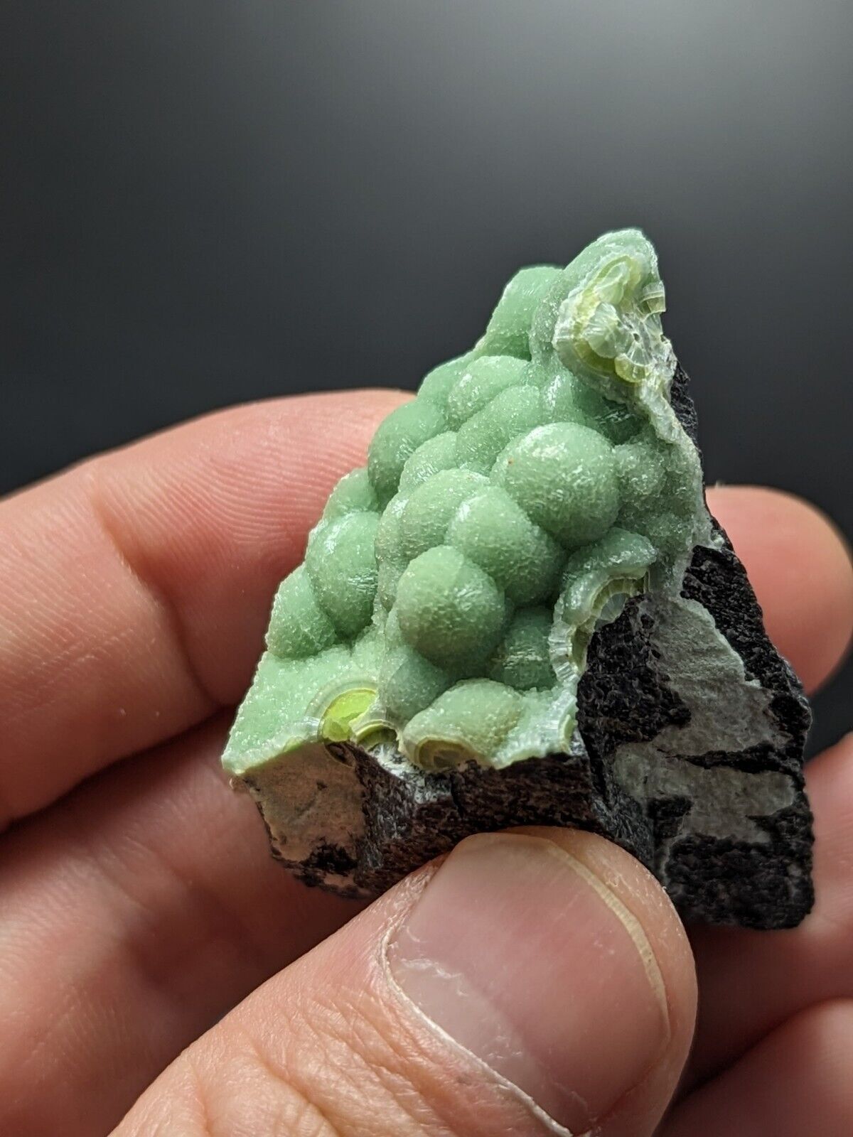 A + Wavellite - Fantastic Old Stock - Mauldin Mountain Arkansas ooak - Collectibles:Rocks Fossils & Minerals:Crystals