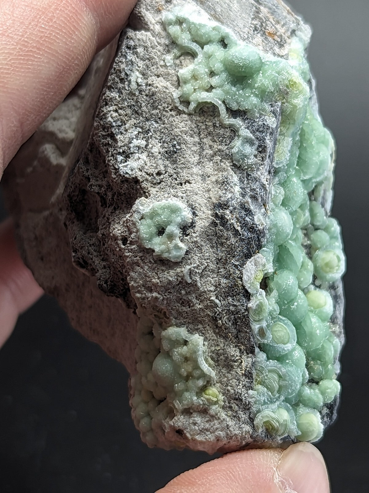 A hand holds a rough, gray rock specimen featuring clusters of translucent green crystals with rounded, bubble-like formations.