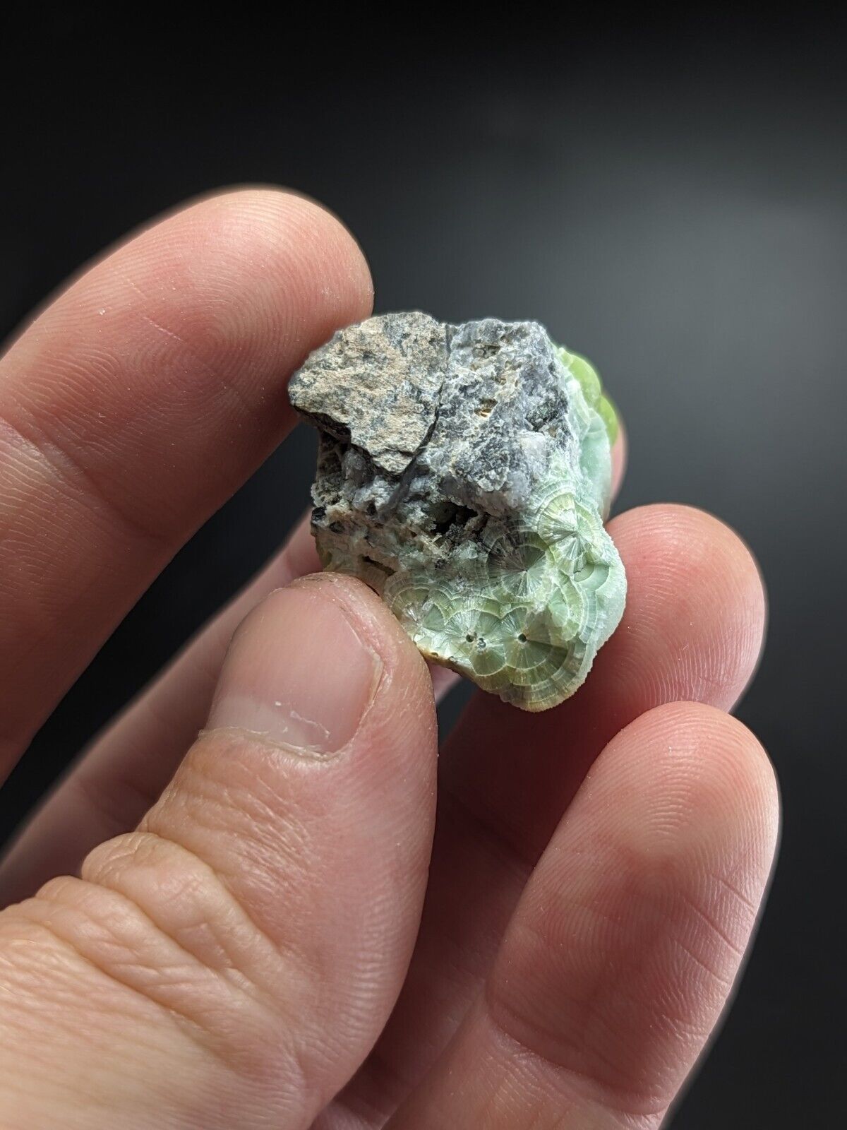 A + Wavellite - Fantastic Old Stock - Mauldin Mountain Arkansas ooak - Collectibles:Rocks Fossils & Minerals:Crystals