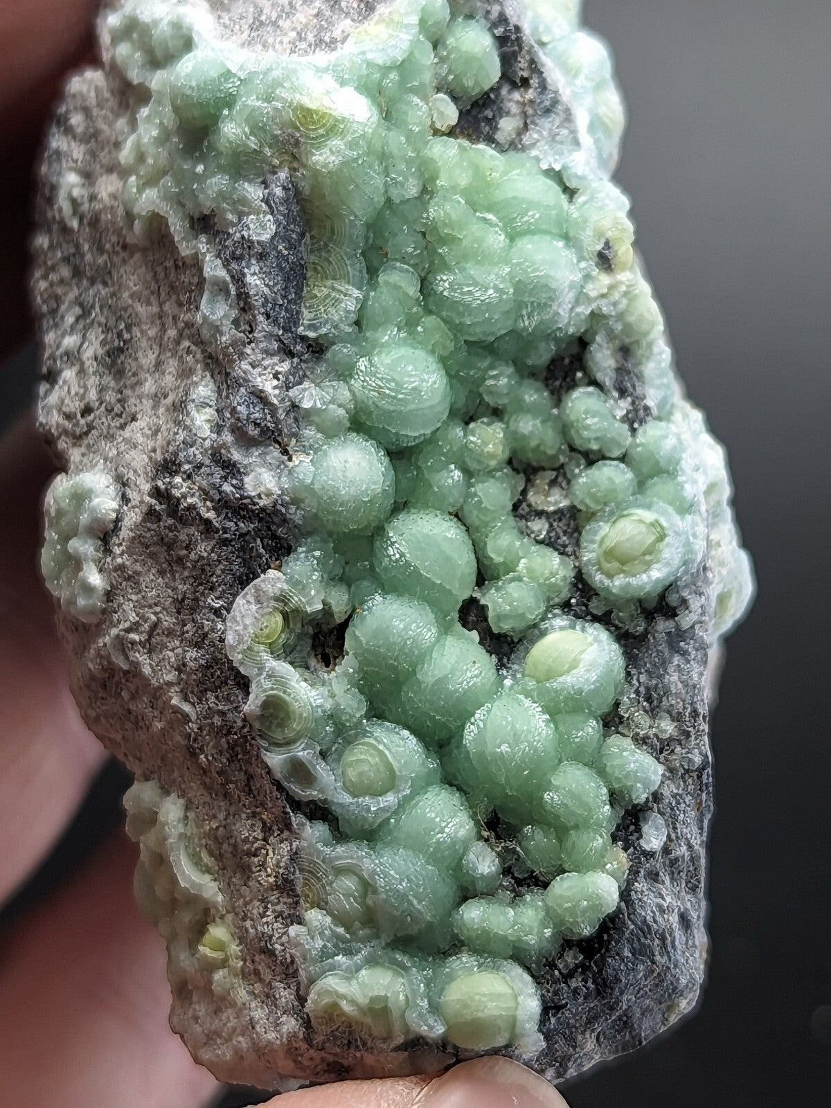 A cluster of translucent, pale green, bubble-like mineral formations growing on a rough gray rock matrix.