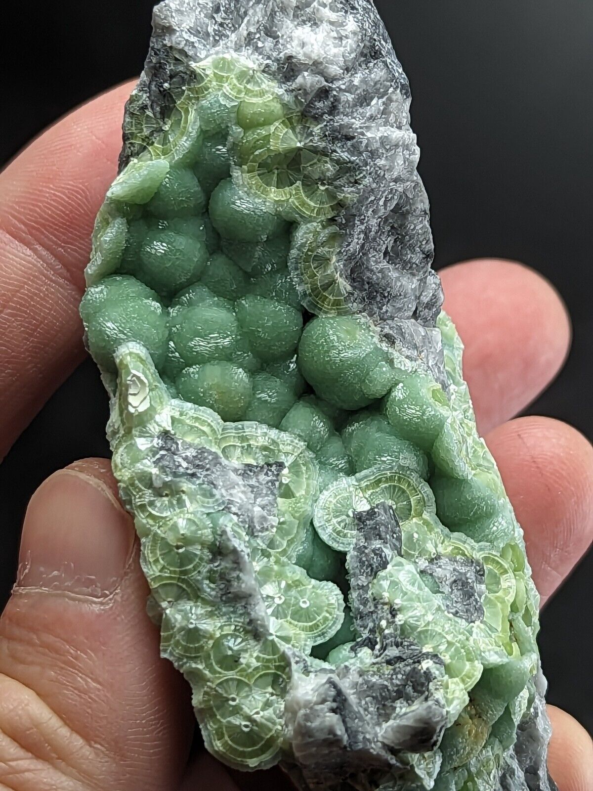A + Wavellite - Fantastic Old Stock - Mauldin Mountain Arkansas ooak - Collectibles:Rocks Fossils & Minerals:Crystals