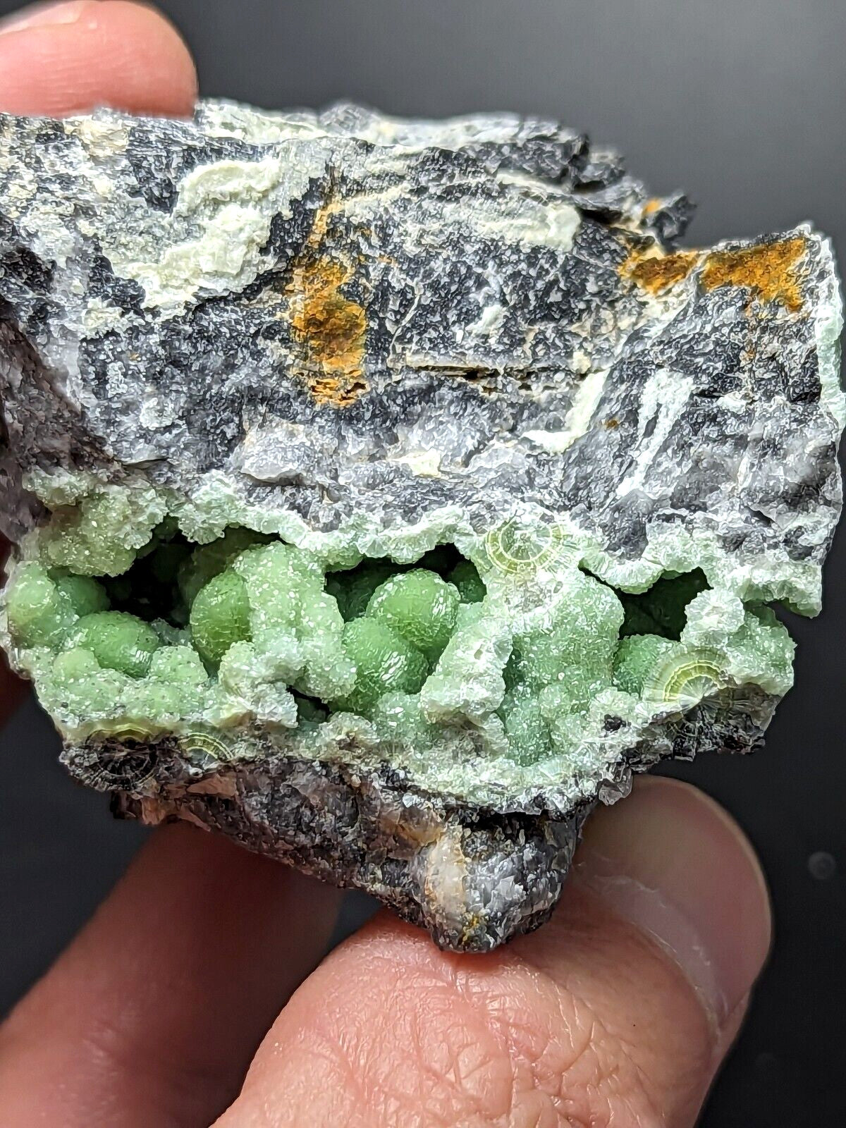 A hand holds a striking mineral specimen featuring vibrant green, rounded crystals growing from a rugged matrix of gray and white rock with subtle orange streaks.