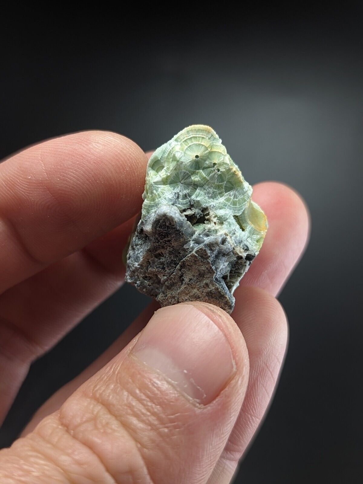 A + Wavellite - Fantastic Old Stock - Mauldin Mountain Arkansas ooak - Collectibles:Rocks Fossils & Minerals:Crystals
