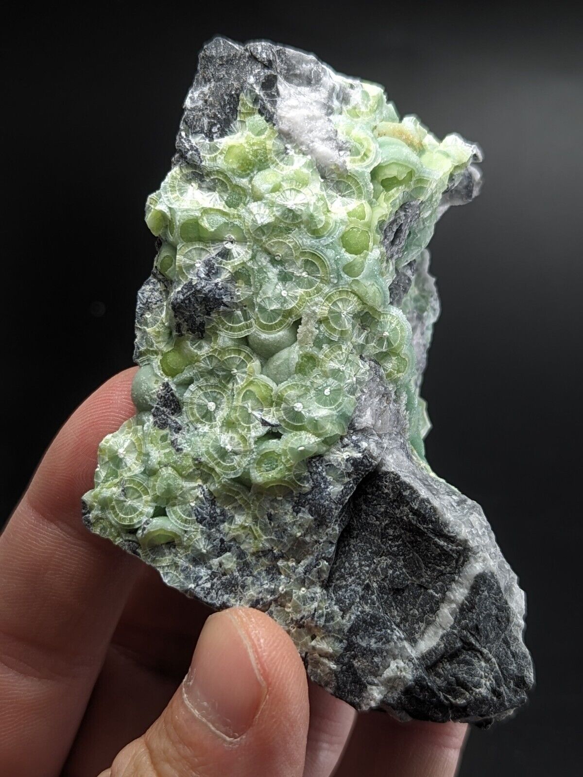 A + Wavellite - Fantastic Old Stock - Mauldin Mountain Arkansas ooak - Collectibles:Rocks Fossils & Minerals:Crystals