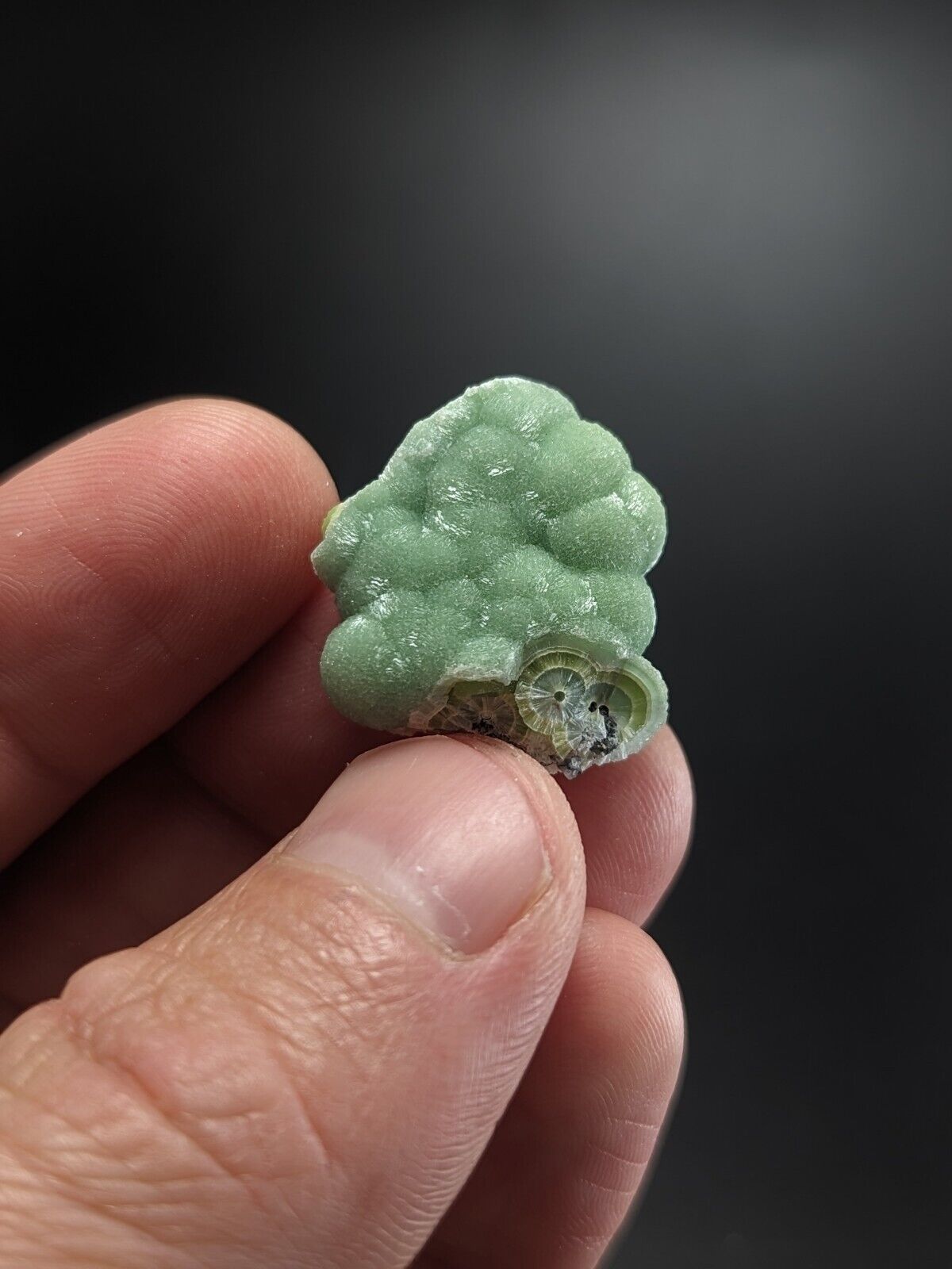 A + + Wavellite - Fantastic Old Stock - Mauldin Mountain Arkansas ooak - Collectibles:Rocks Fossils & Minerals:Crystals