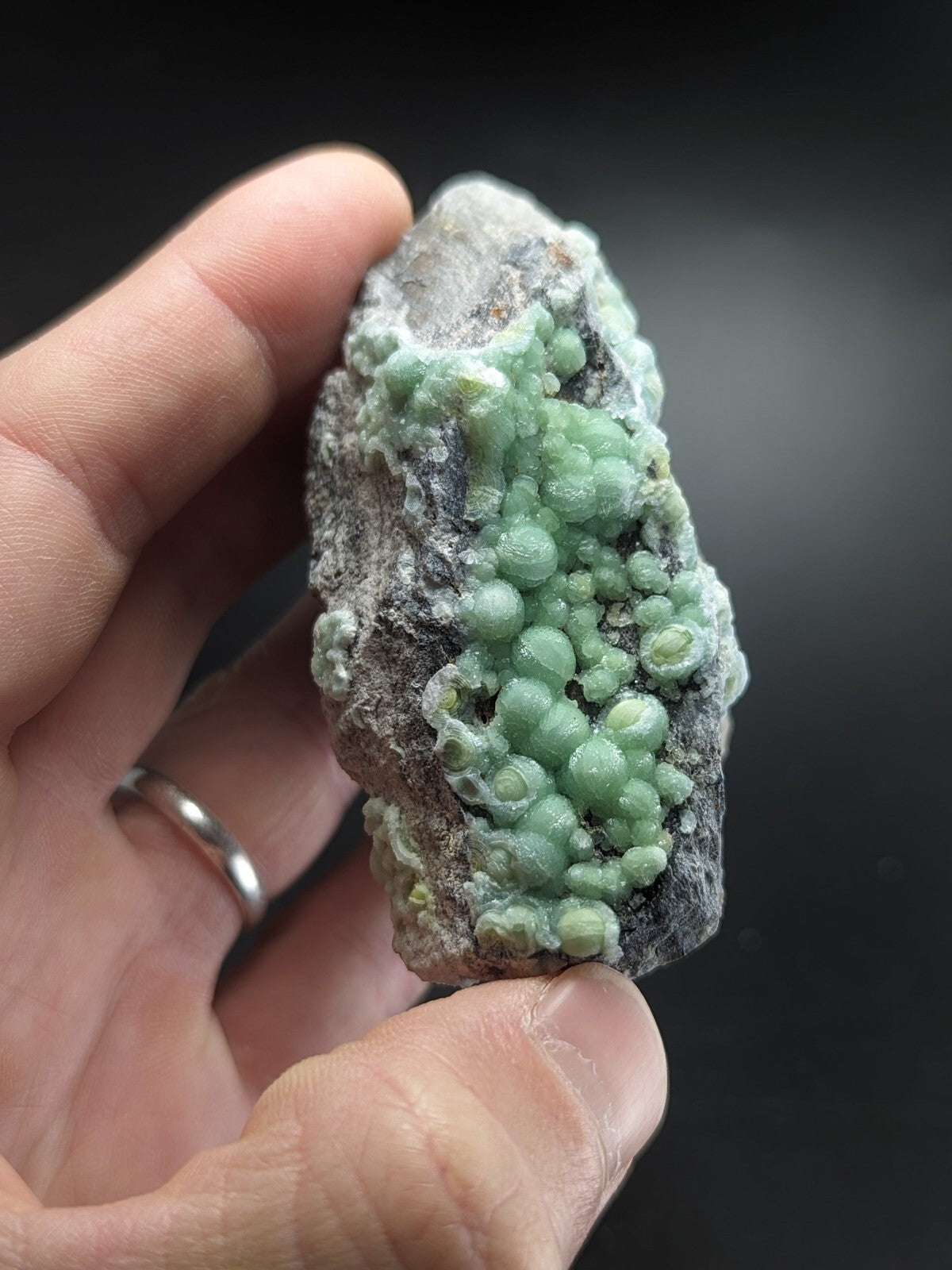 A hand holds a rough, dark gray rock specimen featuring clusters of vibrant light green, spherical mineral formations.