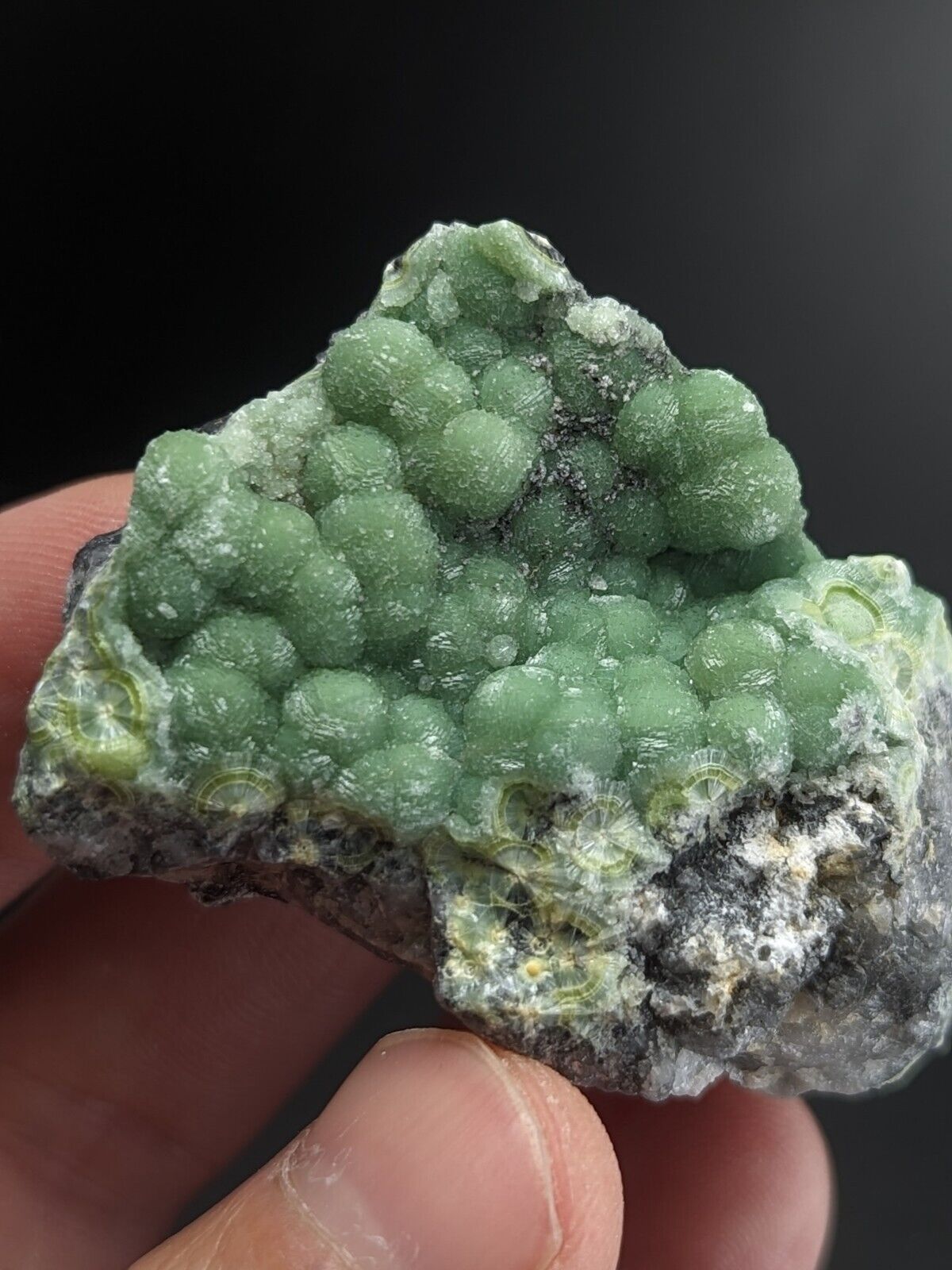 A + + Wavellite - Fantastic Old Stock - Mauldin Mountain Arkansas ooak - Collectibles:Rocks Fossils & Minerals:Crystals