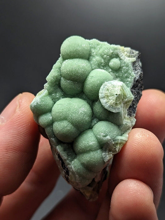 A + Wavellite - Fantastic Old Stock - Mauldin Mountain Arkansas ooak - Collectibles:Rocks Fossils & Minerals:Crystals